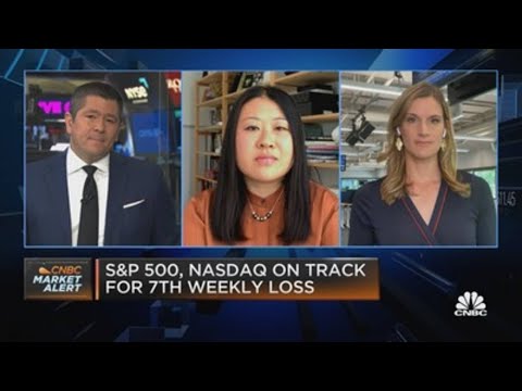 RBC Capital Markets' Amy Wu Silverman on the disconnect between equities and the VIX