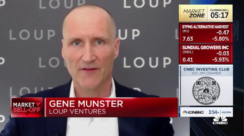 We're still 50% in cash, and I wish we would've stayed at 70%, says Loup Ventures' Gene Munster