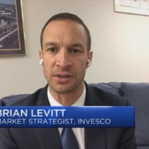 Invesco's Brian Levitt says long term investors are getting too bearish