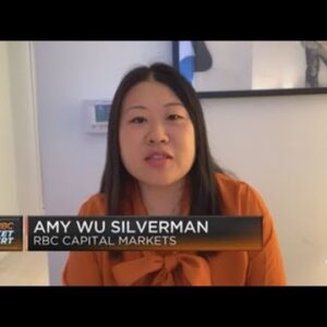 Amy Wu Silverman says record high volatility makes for an uninvestable environment