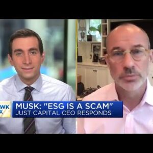 Tesla has other areas to improve in ESG, says Just Capital CEO Martin Whittaker