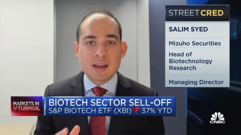 Selim Syed on the future of biotech companies amid sector drop