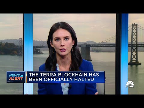 Terra Blockchain officially halted