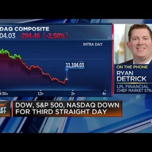 We don't see a recession, but more of a slowdown, says LPL's Ryan Detrick