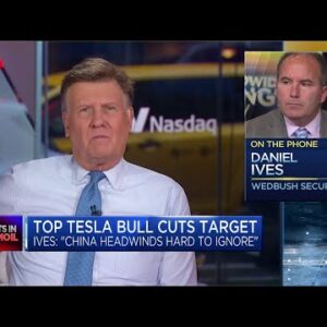 Wedbush Dan Ives' breaks down decision to cut Tesla price target
