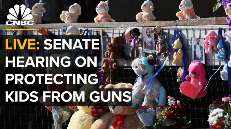 LIVE: Senate holds hearing on protecting children from gun violence in the U.S. — 6/15/2022