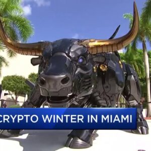 Here's how Miami is responding to a crypto winter