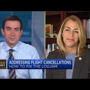 Airlines need to cut back flight capacity, says flight attendants union leader