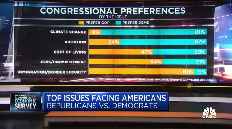 All-America Economic Survey:Top issues facing Americans