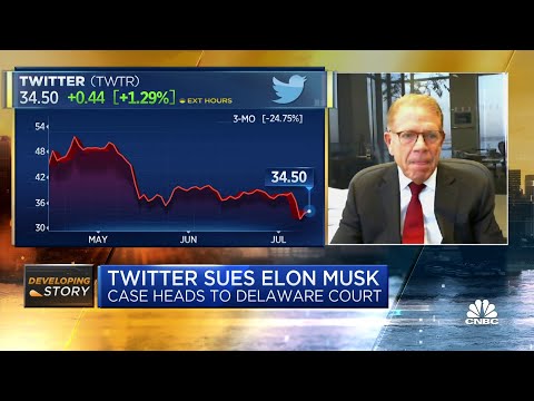 Musk must prove there's a material misstatement in the case against Twitter, says Profusek