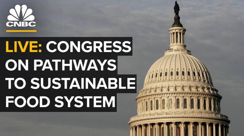 LIVE: House hearing on building an affordable and sustainable food supply chain — 7/15/22