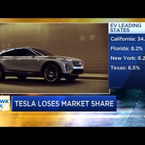 Tesla loses market share as rivals ramp us electric vehicle production